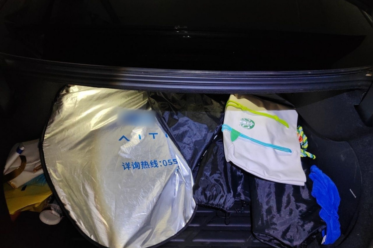 BYD Han 2022 car image #21