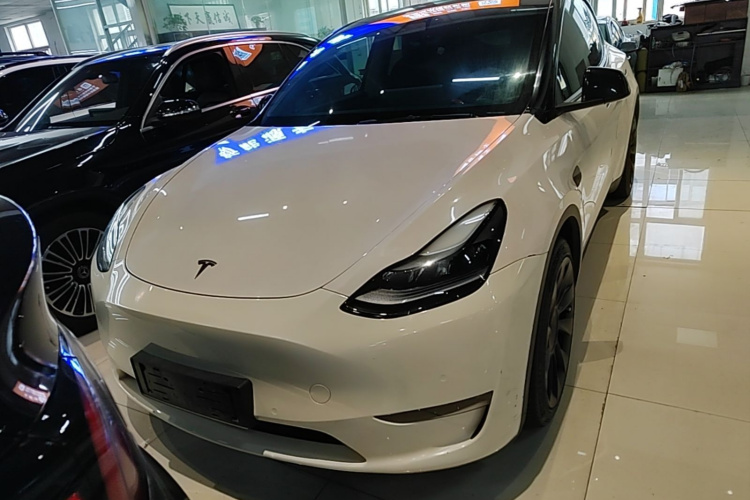 Tesla Model Y 2021 #3 Tesla Model Y 2021 car image #3