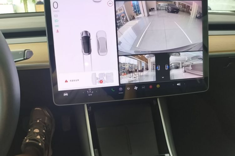 Tesla Model 3 2020 #13 Tesla Model 3 2020 car image #13