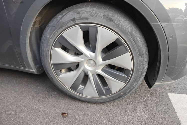 Tesla Model Y 2021 car image #9