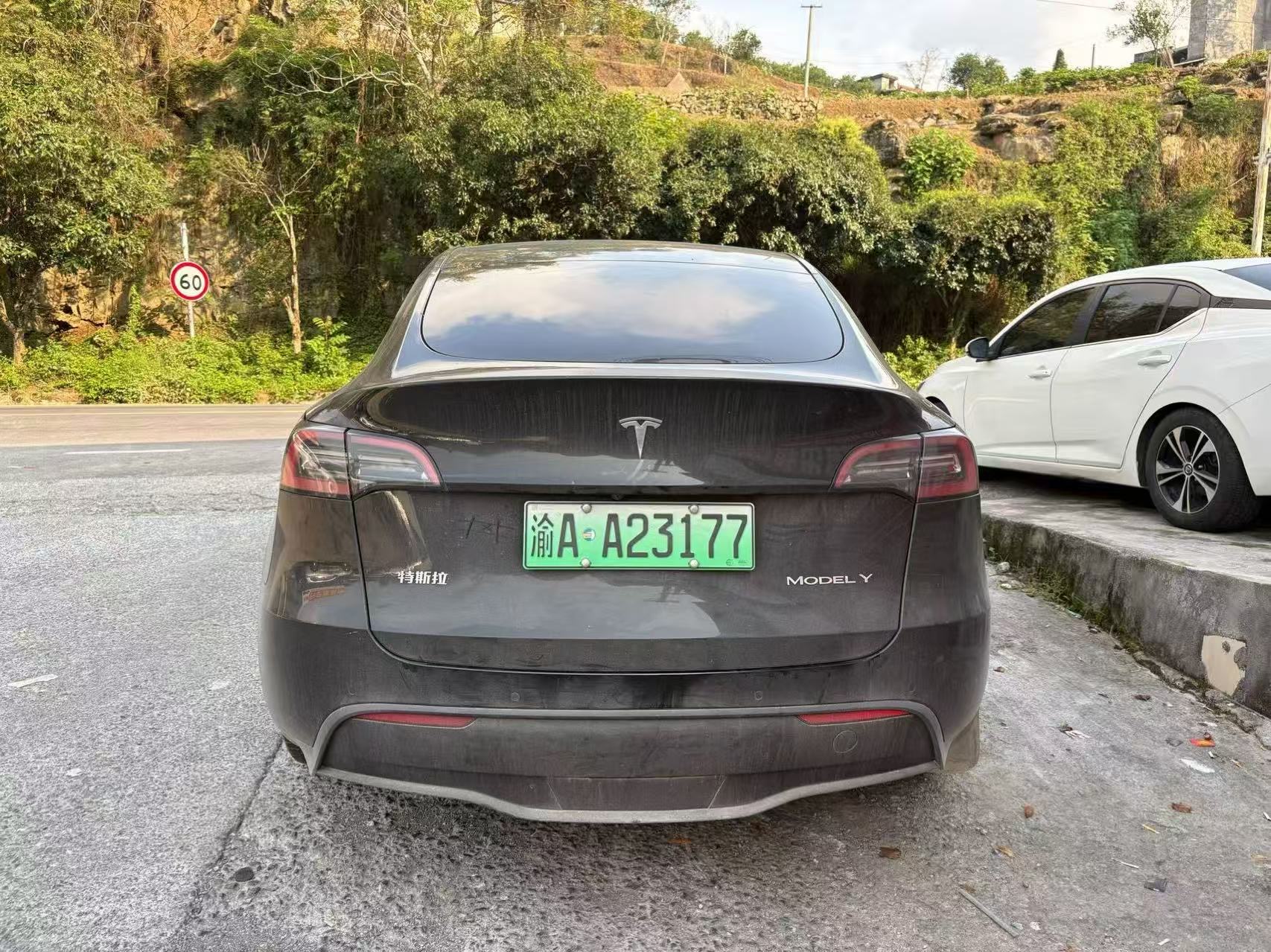Tesla Model Y 2023 #5 Tesla Model Y 2023 car image #5