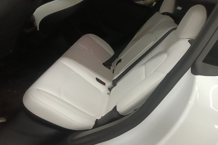Tesla Model Y 2021 car image #17