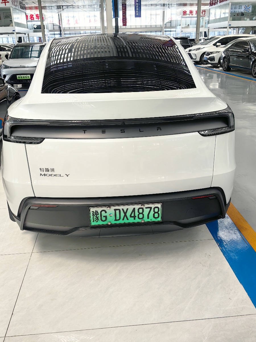Tesla Model Y 2025 car image #4
