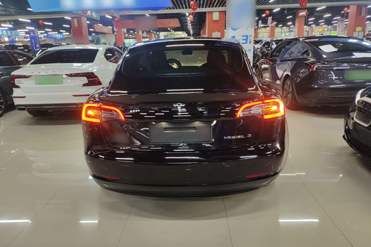 Tesla Model 3 2020 car image #6