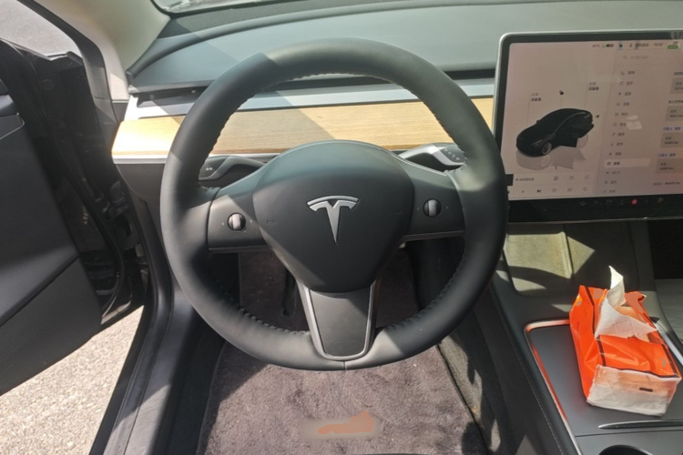 Tesla Model 3 2022 #11 Tesla Model 3 2022 car image #11