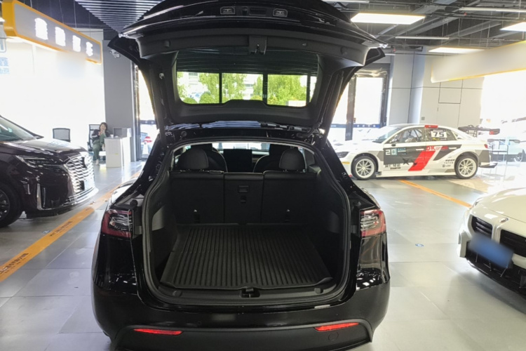 Tesla Model Y 2021 car image #21