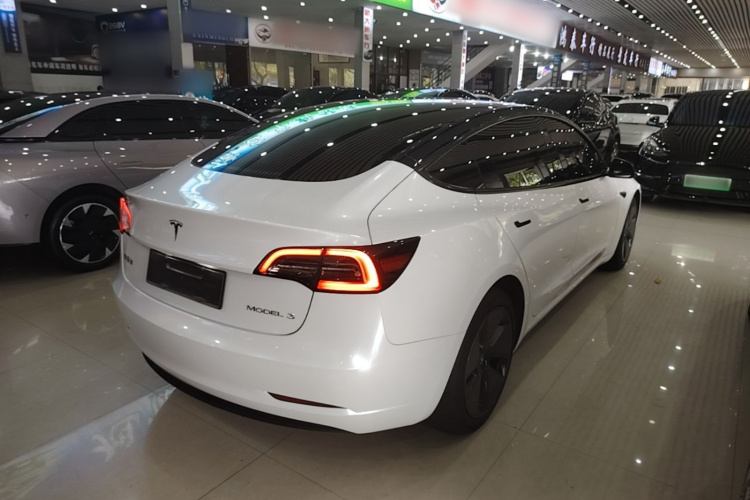 Tesla Model 3 2023 car image #7