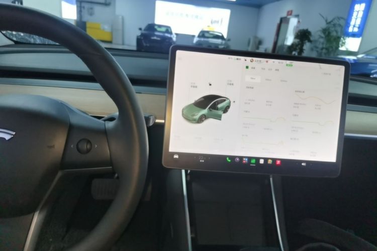Tesla Model 3 2020 car image #13
