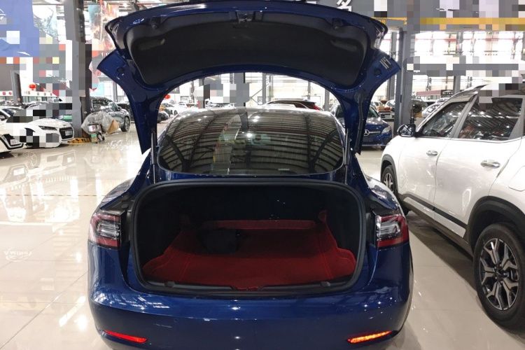 Tesla Model 3 2020 car image #19
