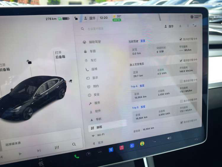 Tesla Model 3 2021 car image #6