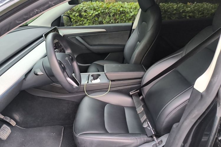 Tesla Model Y 2024 car image #19