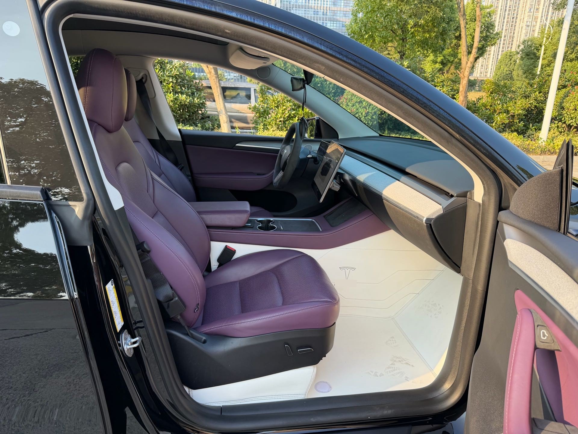 Tesla Model Y 2023 car image #15