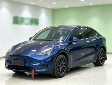 Tesla Model Y 2022 Tesla Model Y 2022 car image