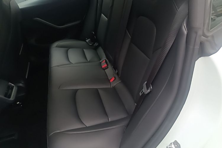 Tesla Model 3 2021 #17 Tesla Model 3 2021 car image #17