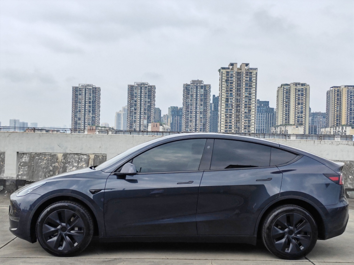 Tesla Model Y 2024 #6 Tesla Model Y 2024 car image #6