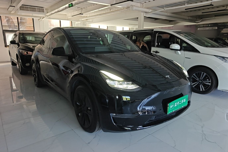 Tesla Model Y 2021 #4 Tesla Model Y 2021 car image #4