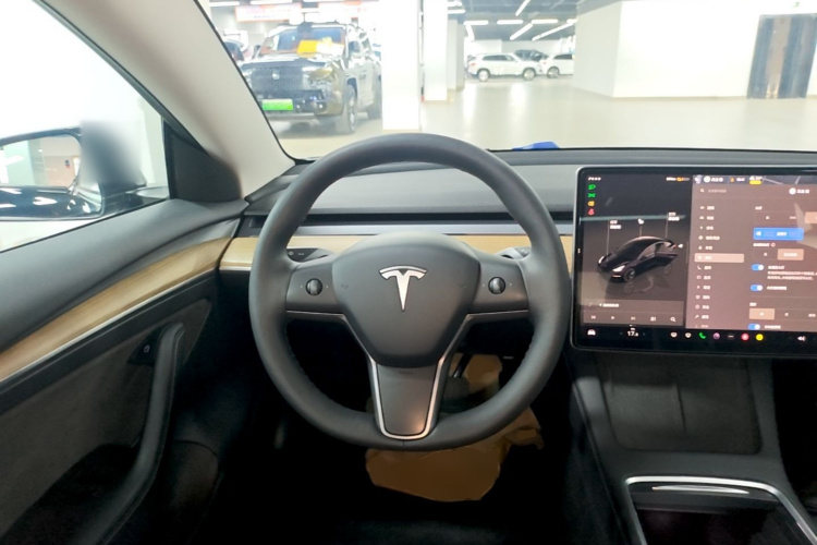 Tesla Model 3 2023 car image #15