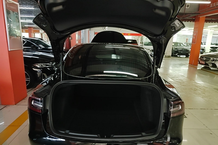 Tesla Model 3 2020 car image #19