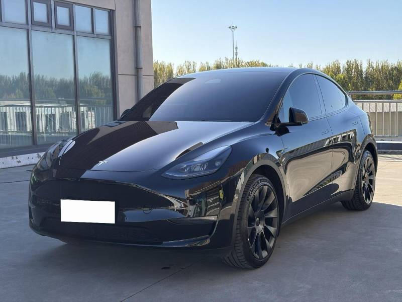 Tesla Model Y 2024 car image 