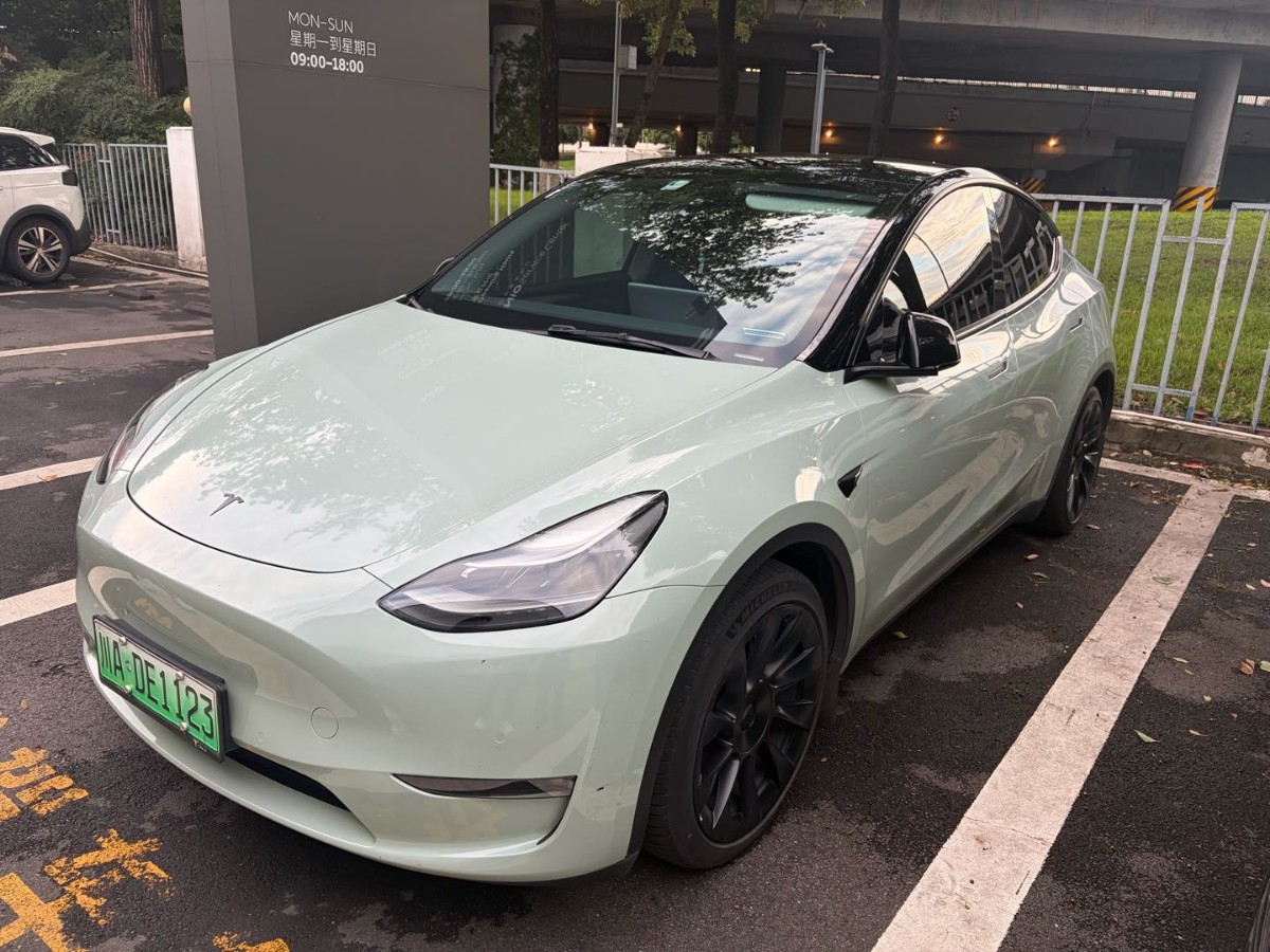 Tesla Model Y 2021 Tesla Model Y 2021 car image