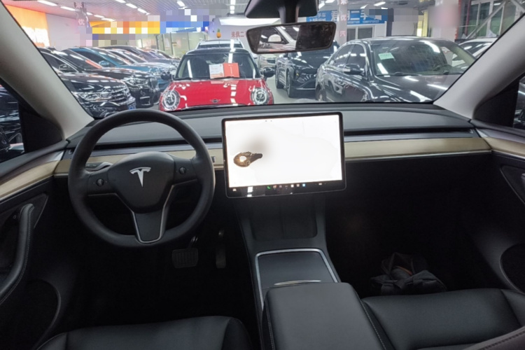 Tesla Model Y 2021 immagine di auto #10