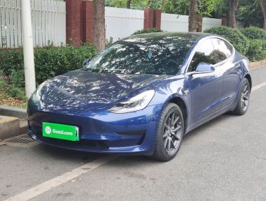 Tesla Model 3 2020 صورة سيارة 