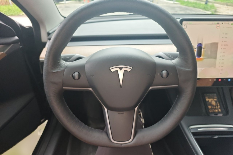 Tesla Model 3 2022 #15 Tesla Model 3 2022 car image #15