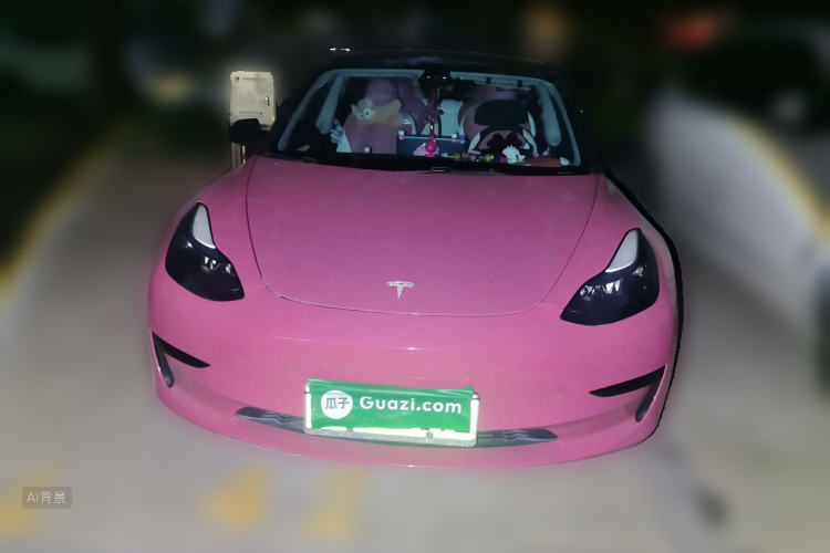 Tesla Model 3 2022 car image #3