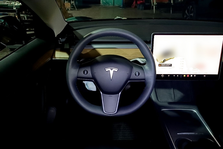 Tesla Model 3 2021 #15 Tesla Model 3 2021 car image #15