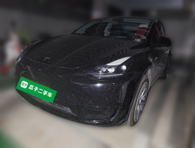 Tesla Model Y 2023 Tesla Model Y 2023 car image