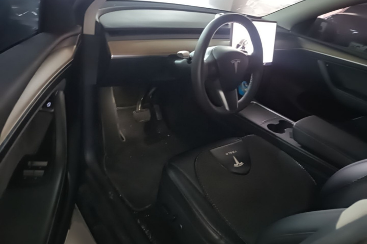 Tesla Model Y 2021 #13 Tesla Model Y 2021 car image #13
