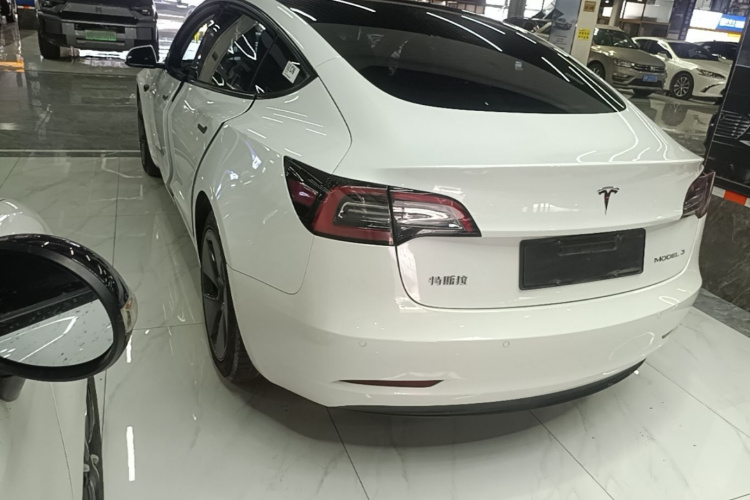 Tesla Model 3 2022 #5 Tesla Model 3 2022 car image #5