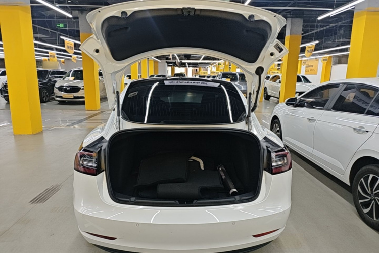 Tesla Model 3 2020 car image #19