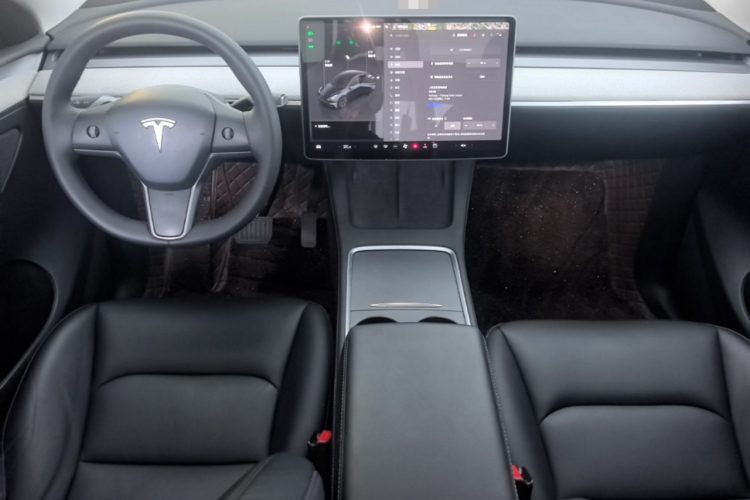 Tesla Model Y 2024 car image #11