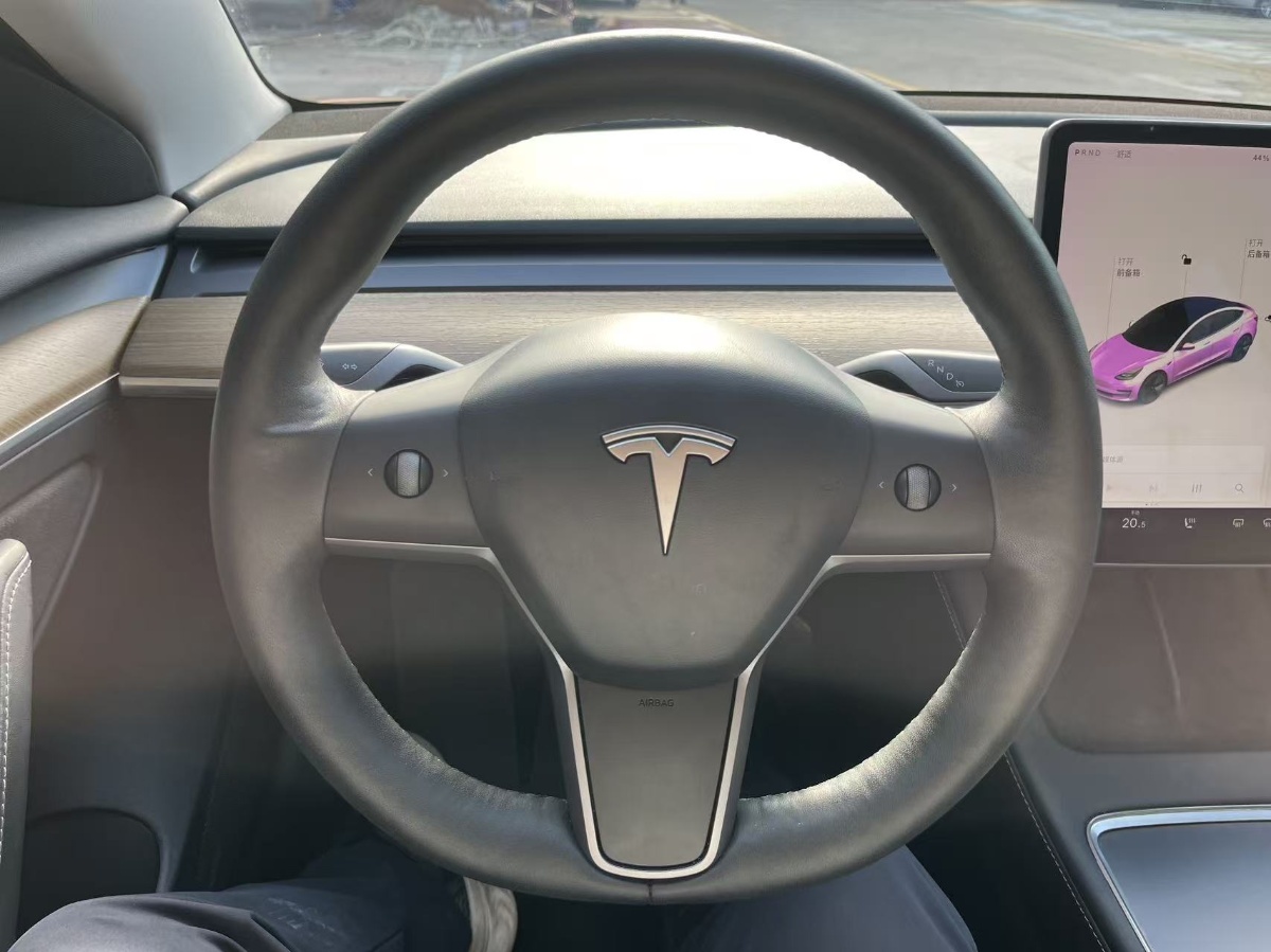 Tesla Model 3 2021 car image #14