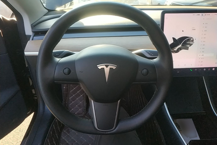 Tesla Model 3 2020 immagine di auto #11