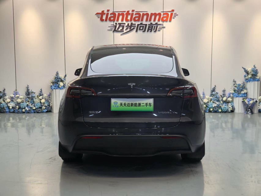 Tesla Model Y 2024 #8 Tesla Model Y 2024 car image #8