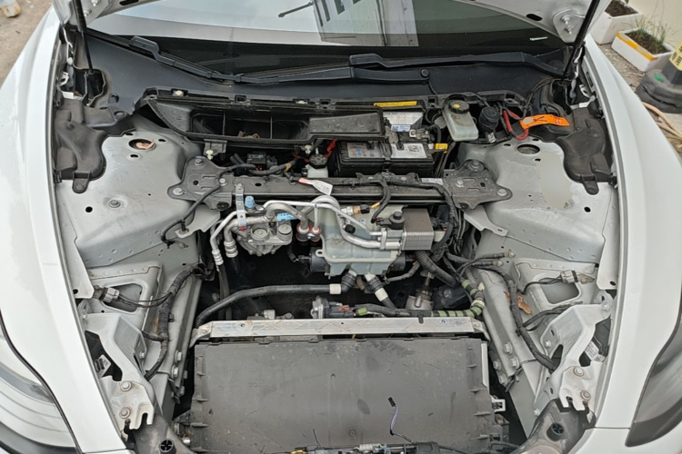 Tesla Model 3 2019 #20 Tesla Model 3 2019 car image #20