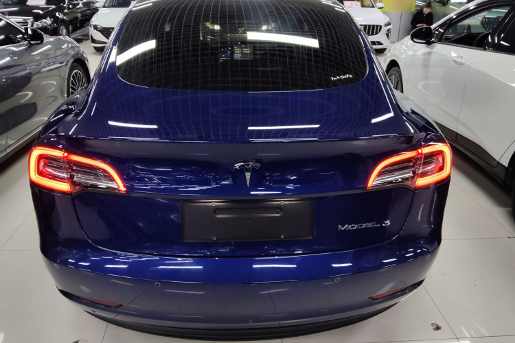 Tesla Model 3 2020 car image #6