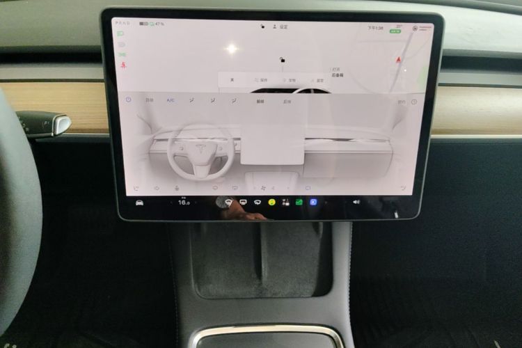 Tesla Model 3 2022 #13 Tesla Model 3 2022 car image #13