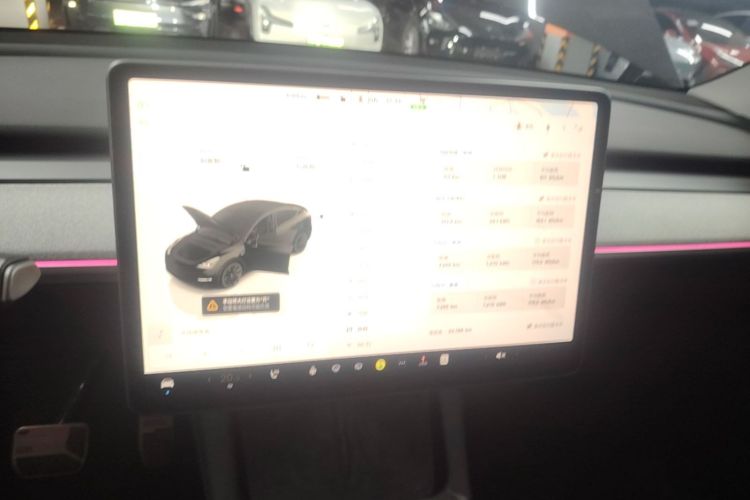 Tesla Model Y 2023 #13 Tesla Model Y 2023 car image #13