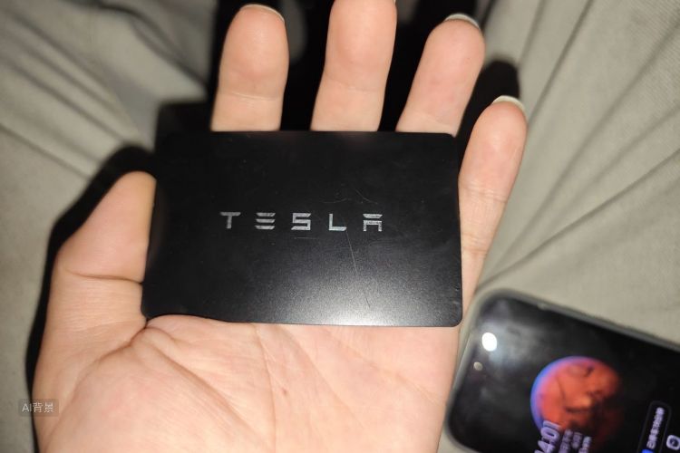 Tesla Model 3 2023 car image #10