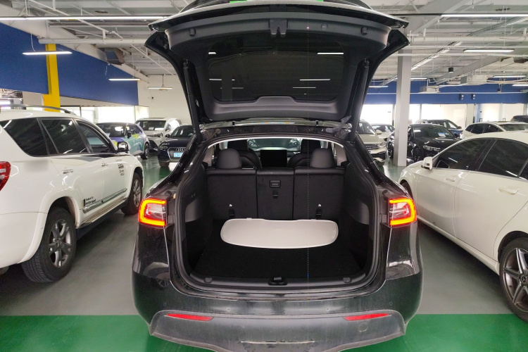Tesla Model Y 2023 #19 Tesla Model Y 2023 car image #19