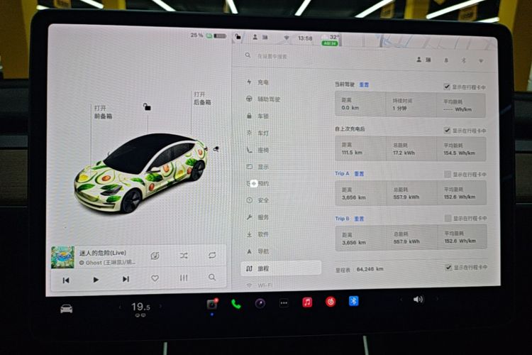 Tesla Model 3 2020 car image #12