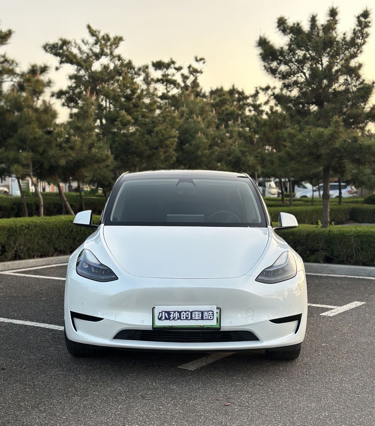 Tesla Model Y 2022 car image #3