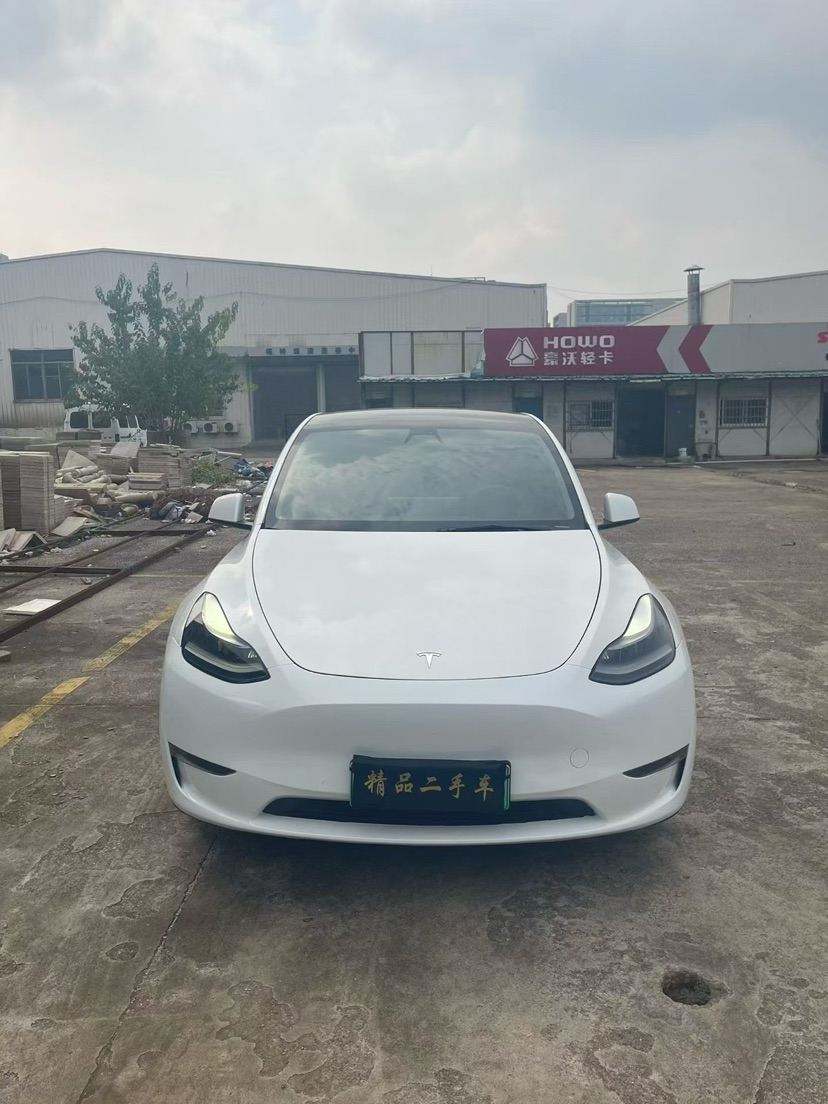 Tesla Model Y 2021 #2 Tesla Model Y 2021 car image #2