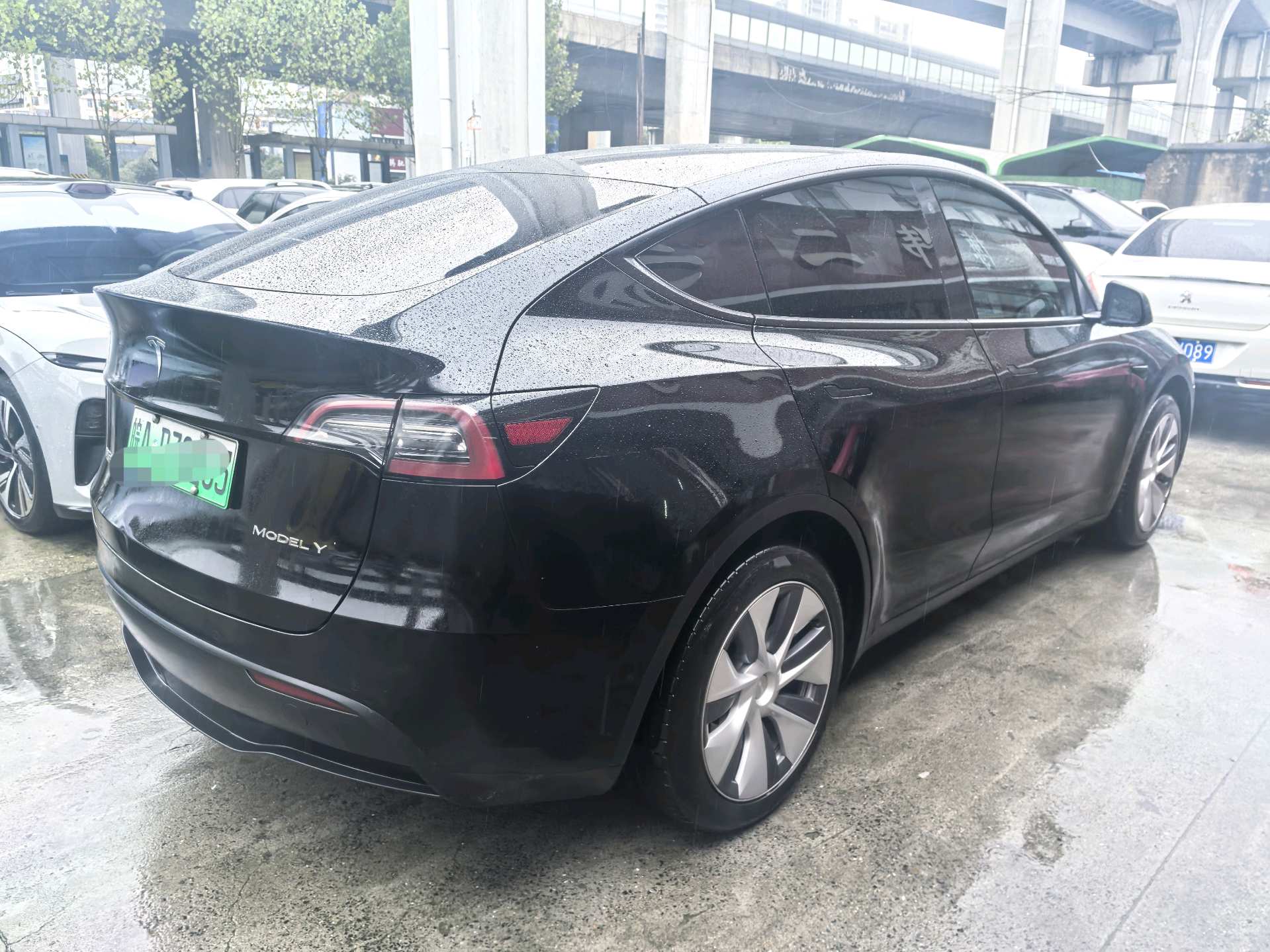 Tesla Model Y 2023 car image #4