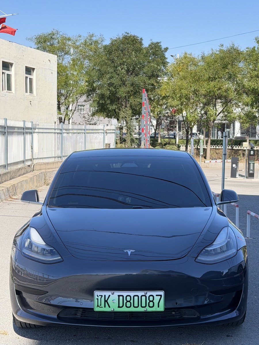 Tesla Model 3 2020 car image #2