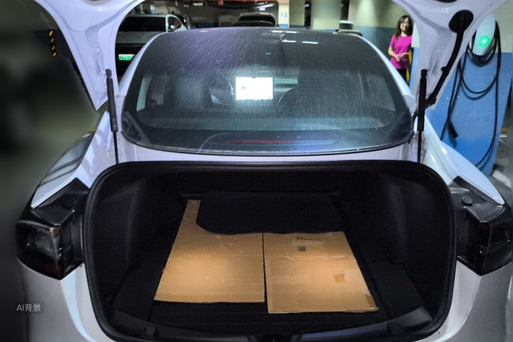Tesla Model 3 2020 car image #21
