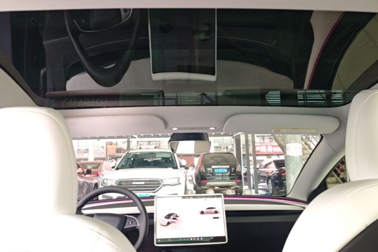 Tesla Model 3 2023 car image #18